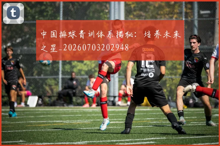 中国排球青训体系揭秘：培养未来之星_20260703202948